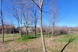 GRAĐEVINSKO ZEMLJIŠTE - Manjadvorci, Barban, Terrain