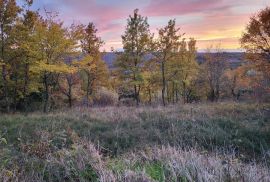 Građevinsko zemljište s pogledom, okolica Grožnjana, Grožnjan, Land