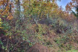 Građevinsko zemljište s lijepim pogledom, zadnje u građevinskoj zoni, Buzet, Land