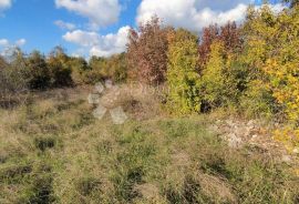 GRAĐEVINSKO ZEMLJIŠTE SA PREDIVNIM POGLEDOM NA BRIJUNSKO OTOČJE, Vodnjan, Terrain