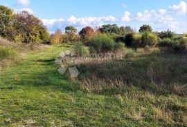 GRAĐEVINSKO ZEMLJIŠTE SA PREDIVNIM POGLEDOM NA BRIJUNSKO OTOČJE, Vodnjan, أرض