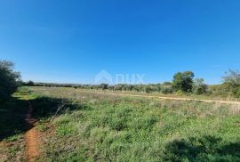 ISTRA, PULA Poljoprivredno zemljište nedaleko od centra grada!, Pula, Arazi