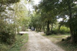 Novi Vinodolski- Bribir poljoprivredno zemljište, Vinodolska Općina, Terreno