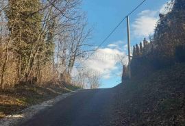 ŠUMA VARAŽDINSKE TOPLICE, Varaždinske Toplice, Land