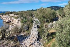 Zemljište sa maslinikom do mora, Pirovac, Terreno