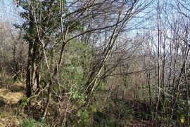 Bregi - negrađevinski teren s pogledom, Matulji, Terreno