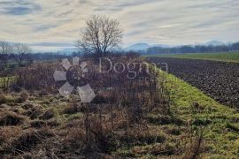 Zemljište Biškupec, Varaždin, Land