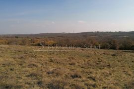 Višnjan, Zoričići - Zemljište, 19190 m2, Višnjan, Land