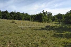 Višnjan, Zoričići - Zemljište, 19190 m2, Višnjan, Land