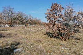 Višnjan, Zoričići - Zemljište, 19190 m2, Višnjan, Tierra