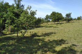 Višnjan, Zoričići - Zemljište, 19190 m2, Višnjan, Land