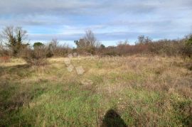 Građevinsko zemljište s pravomoćnom građevinskom dozvolom, Svetvinčenat, Terrain