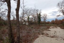 Zemljište na lijepoj lokaciji 2km od mora, Vodnjan, Земля