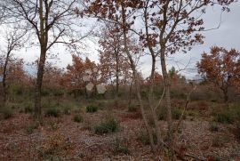 Zemljište na lijepoj lokaciji 2km od mora, Vodnjan, Terreno