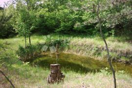 ISTRA, IMPOZANTNO IMANJE, Lupoglav, Terrain