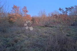 Urbanizirano zemljište u prirodi i blizini Tinjana, Tinjan, Land