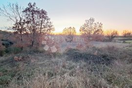 Urbanizirano zemljište u prirodi i blizini Tinjana, Tinjan, أرض