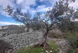 GRAĐEVINSKO ZEMLJIŠTE U BLIZINI ROGOZNICE, Rogoznica, Land