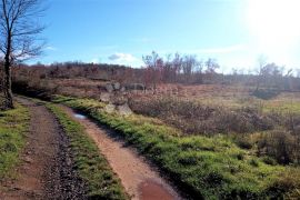 TINJAN – odlično kombinirano zemljište 20 km od mora, Tinjan, Terrain