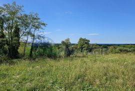 Građevinsko zemljište s pogledom na Brtoniglu i more + građevinska dozvola, Brtonigla, Terrain