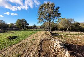 Otok Krk, Šilo -  Očišćeno, ravno poljoprivredno zemljište, buduće građevinsko, 600m do prekrasnih plaža, mora i supermarketa s pristupnim putem!, Dobrinj, Terrain