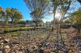 Otok Krk, Šilo -  Očišćeno, ravno poljoprivredno zemljište, buduće građevinsko, 600m do prekrasnih plaža, mora i supermarketa s pristupnim putem!, Dobrinj, Arazi