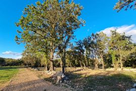 Otok Krk, Šilo -  Očišćeno, ravno poljoprivredno zemljište, buduće građevinsko, 600m do prekrasnih plaža, mora i supermarketa s pristupnim putem!, Dobrinj, Земля