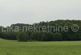 GORNJA ŽRVNICA-Gojkovac 71.600m2 livada, pašnjaka i šume sa dva izvora, Cetingrad, Земля