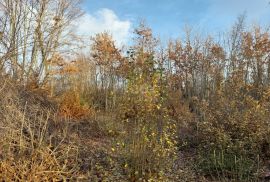 ISTRA, KANFANAR - Građevinsko zemljište od 3133 m2, Kanfanar, Terra