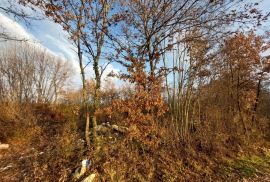 ISTRA, KANFANAR - Građevinsko zemljište od 3133 m2, Kanfanar, Land