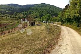 GRAĐEVINSKO ZEMLJIŠTE U BLIZINI SLOVENSKE GRANICE, Buzet, Land