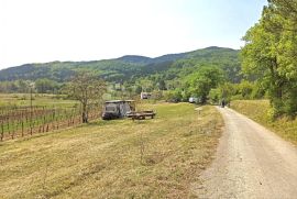 GRAĐEVINSKO ZEMLJIŠTE U BLIZINI SLOVENSKE GRANICE, Buzet, Terrain