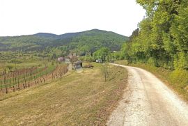 GRAĐEVINSKO ZEMLJIŠTE U BLIZINI SLOVENSKE GRANICE, Buzet, Terrain