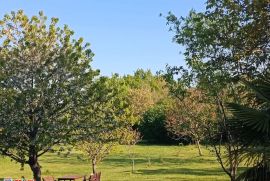 ISTRA, LABIN DVIJE KUĆE SA BAZENOM I VELIKOM OKUĆNICOM, Labin, Kuća