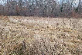 ISTRA, VIŠNJAN - Prostrano poljoprivredno zemljište, Višnjan, Terrain