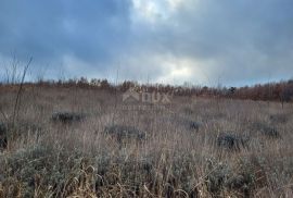 ISTRA, VIŠNJAN - Prostrano poljoprivredno zemljište, Višnjan, Land