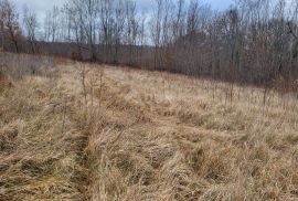 ISTRA, VIŠNJAN - Prostrano poljoprivredno zemljište, Višnjan, Terrain