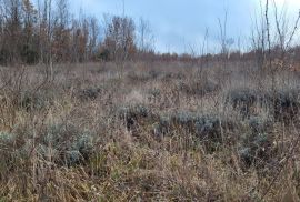 ISTRA, VIŠNJAN - Prostrano poljoprivredno zemljište, Višnjan, Land