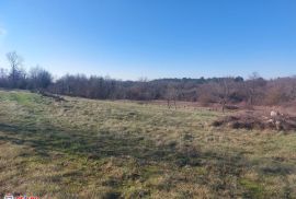 ISTRA, LABIN - OKOLICA, KOMBINACIJA GRAĐEVINSKOG I POLJOPRIVREDNOG ZEMLJIŠTA, Sveta Nedelja, Arazi