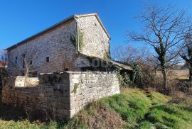 ISTRA, PAZIN - Samostojeća kamena kuća s adaptiranim krovom i prostranom okućnicom, Pazin - Okolica, Haus