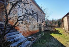 ISTRA, PAZIN - Samostojeća kamena kuća s adaptiranim krovom i prostranom okućnicom, Pazin - Okolica, Famiglia