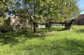 Pitomača, Velika Črešnjevica, poljoprivredno imanje, 4.024 m2, Pitomača, Maison