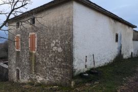 Kuća s imanjem u Lindaru, Pazin - Okolica, Famiglia