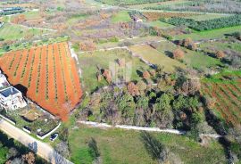 Vodnjan, građevinsko zemljište sa pogledom na more, Vodnjan, Land