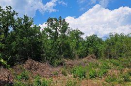 Mješovito zemljište s pogledom na more, Marčana, Land