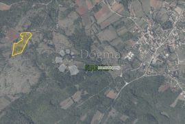 KRNICA, poljoprivredno zemljište velike kvadrature, 20.627m2, Marčana, Terreno