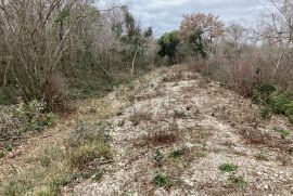 PEROJ, ZEMLJIŠTE 317 M2 SKRIVENO OD POGLEDA, Vodnjan, Zemljište