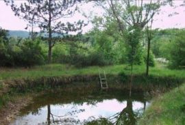 Imanje sa kućom i dvije starine, Boljun, Istra, Lupoglav, Haus