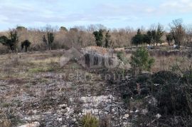 ISTRA, MARČANA Atraktivna građevinska parcela!, Marčana, Terreno