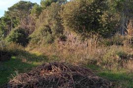 Građevinsko zemljište blizu mora, Štinjan, Istra, Pula, Terrain